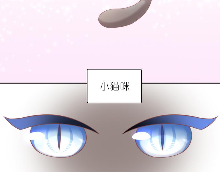 猫爪之下韩漫全集-第78话 选美比赛无删减无遮挡章节图片 