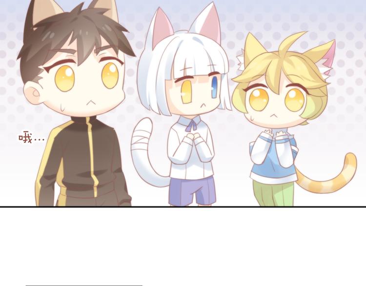 猫爪之下韩漫全集-第78话 选美比赛无删减无遮挡章节图片 