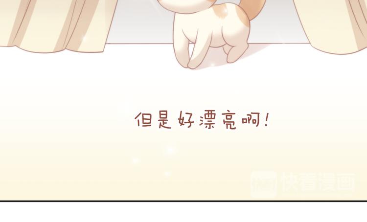 猫爪之下韩漫全集-第78话 选美比赛无删减无遮挡章节图片 