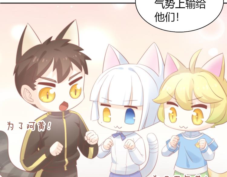 猫爪之下韩漫全集-第78话 选美比赛无删减无遮挡章节图片 