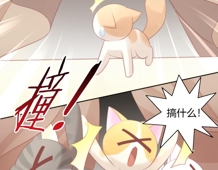 猫爪之下韩漫全集-第78话 选美比赛无删减无遮挡章节图片 