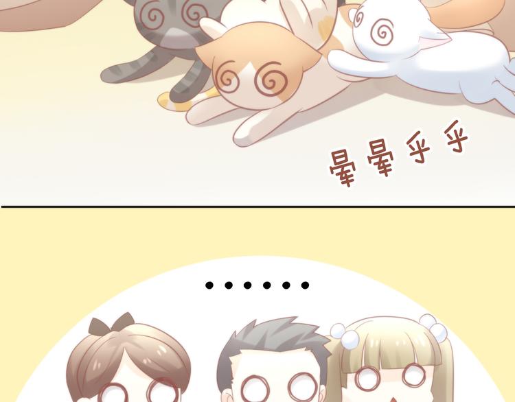 猫爪之下韩漫全集-第78话 选美比赛无删减无遮挡章节图片 