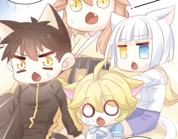 猫爪之下韩漫全集-第78话 选美比赛无删减无遮挡章节图片 