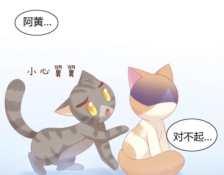 猫爪之下韩漫全集-第79话 一只猫的战争无删减无遮挡章节图片 