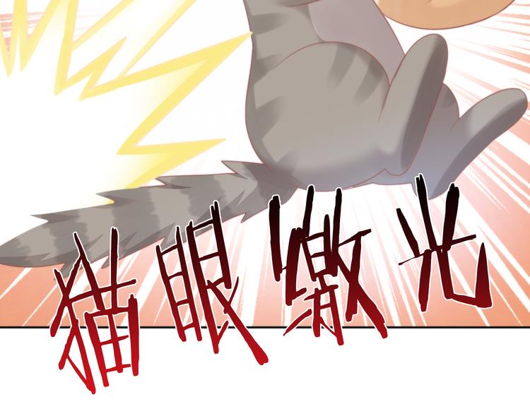 猫爪之下韩漫全集-第79话 一只猫的战争无删减无遮挡章节图片 