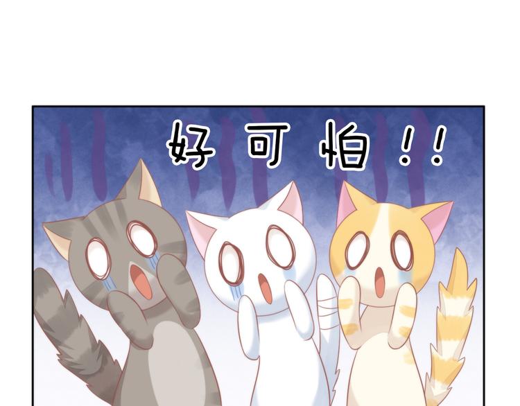 猫爪之下韩漫全集-第79话 一只猫的战争无删减无遮挡章节图片 