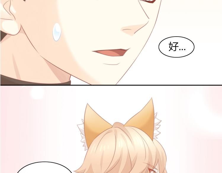 猫爪之下韩漫全集-第79话 一只猫的战争无删减无遮挡章节图片 
