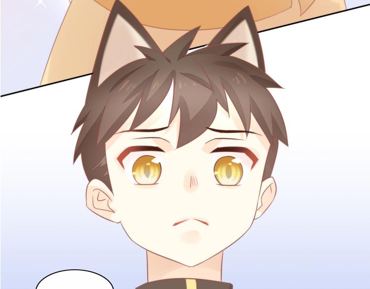 猫爪之下韩漫全集-第79话 一只猫的战争无删减无遮挡章节图片 