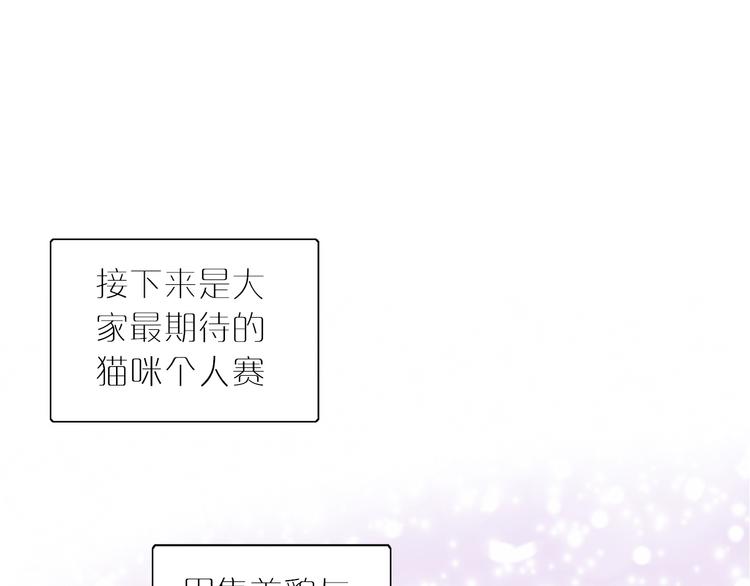 猫爪之下韩漫全集-第79话 一只猫的战争无删减无遮挡章节图片 