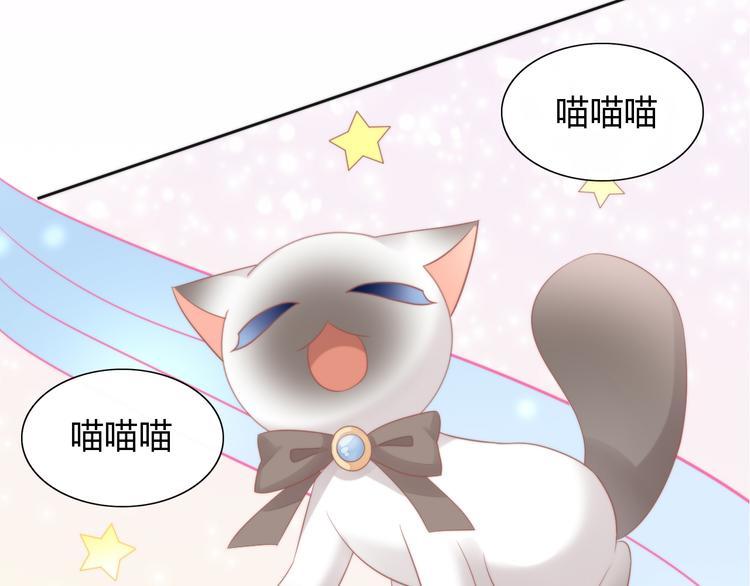 猫爪之下韩漫全集-第79话 一只猫的战争无删减无遮挡章节图片 