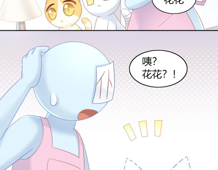 猫爪之下韩漫全集-第79话 一只猫的战争无删减无遮挡章节图片 