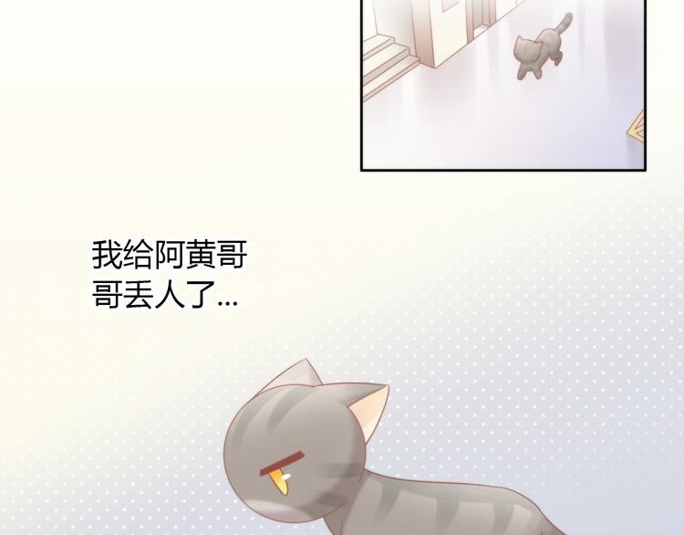 猫爪之下韩漫全集-第79话 一只猫的战争无删减无遮挡章节图片 