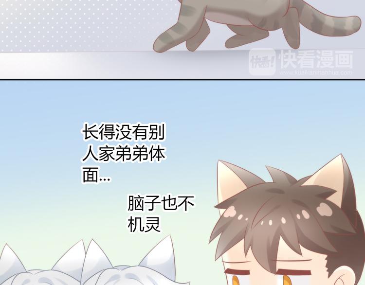 猫爪之下韩漫全集-第79话 一只猫的战争无删减无遮挡章节图片 