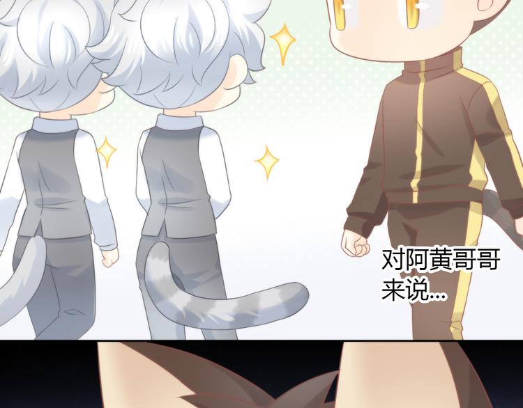 猫爪之下韩漫全集-第79话 一只猫的战争无删减无遮挡章节图片 