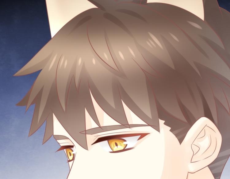 猫爪之下韩漫全集-第79话 一只猫的战争无删减无遮挡章节图片 