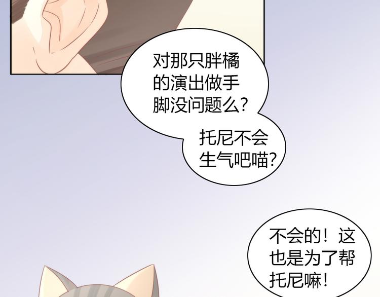 猫爪之下韩漫全集-第79话 一只猫的战争无删减无遮挡章节图片 