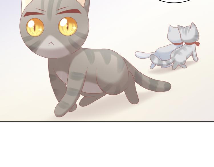 猫爪之下韩漫全集-第79话 一只猫的战争无删减无遮挡章节图片 
