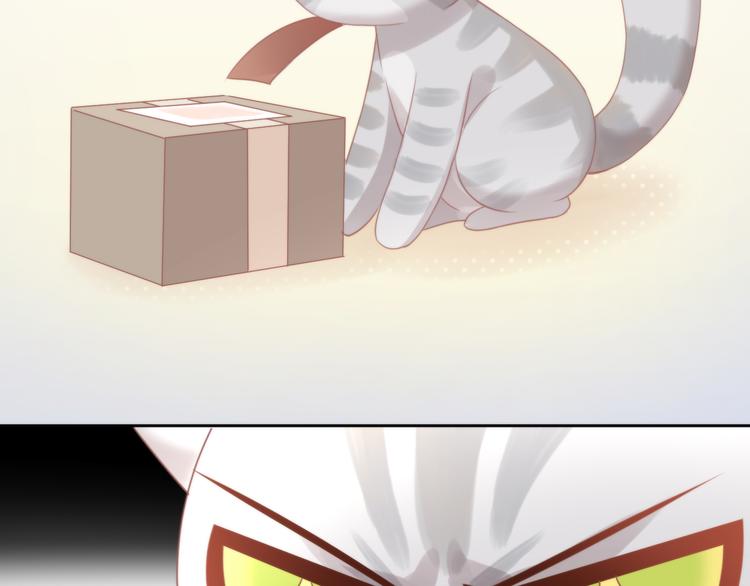猫爪之下韩漫全集-第79话 一只猫的战争无删减无遮挡章节图片 