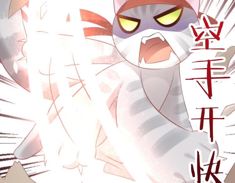 猫爪之下韩漫全集-第79话 一只猫的战争无删减无遮挡章节图片 