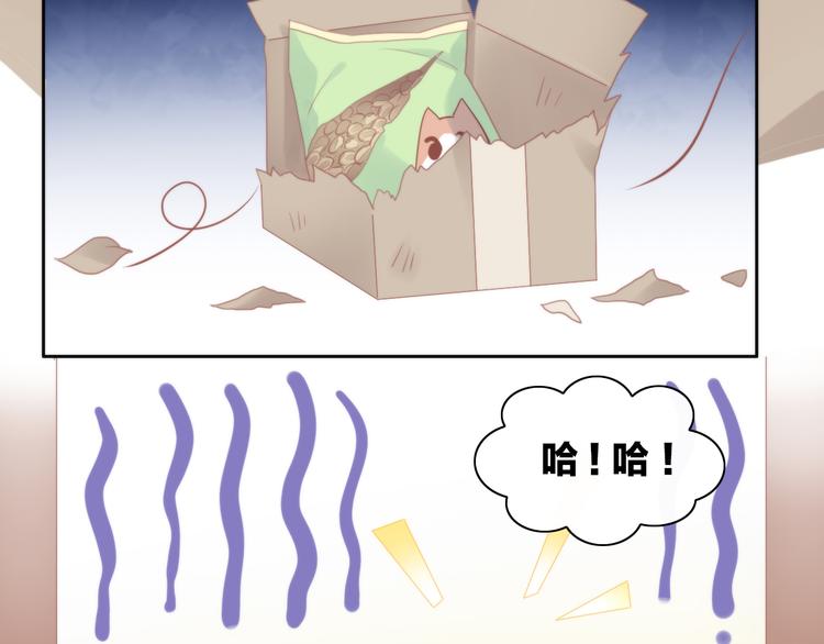 猫爪之下韩漫全集-第79话 一只猫的战争无删减无遮挡章节图片 