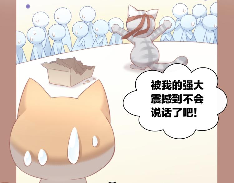 猫爪之下韩漫全集-第79话 一只猫的战争无删减无遮挡章节图片 