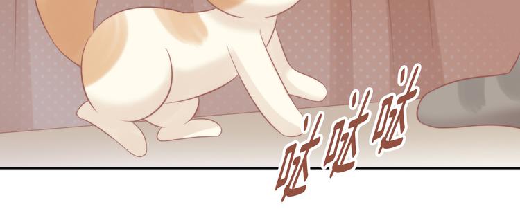 猫爪之下韩漫全集-第79话 一只猫的战争无删减无遮挡章节图片 