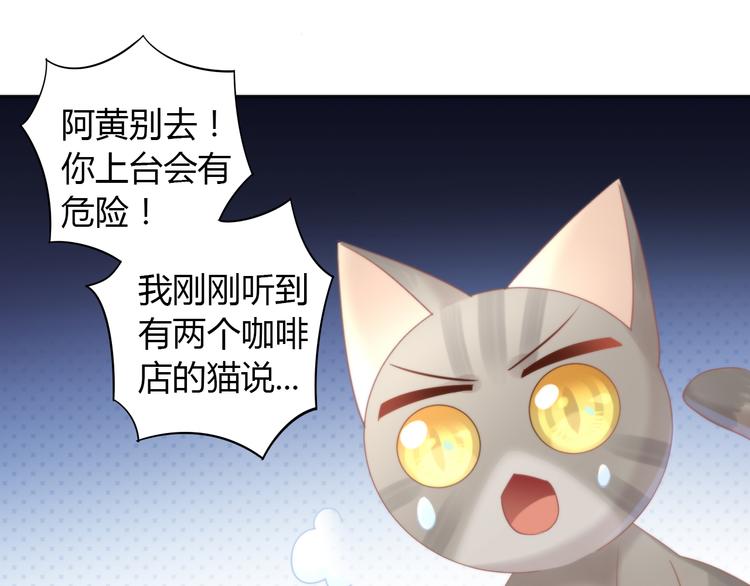 猫爪之下韩漫全集-第79话 一只猫的战争无删减无遮挡章节图片 
