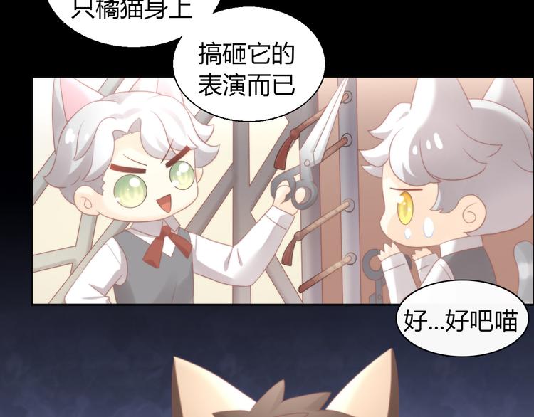 猫爪之下韩漫全集-第79话 一只猫的战争无删减无遮挡章节图片 