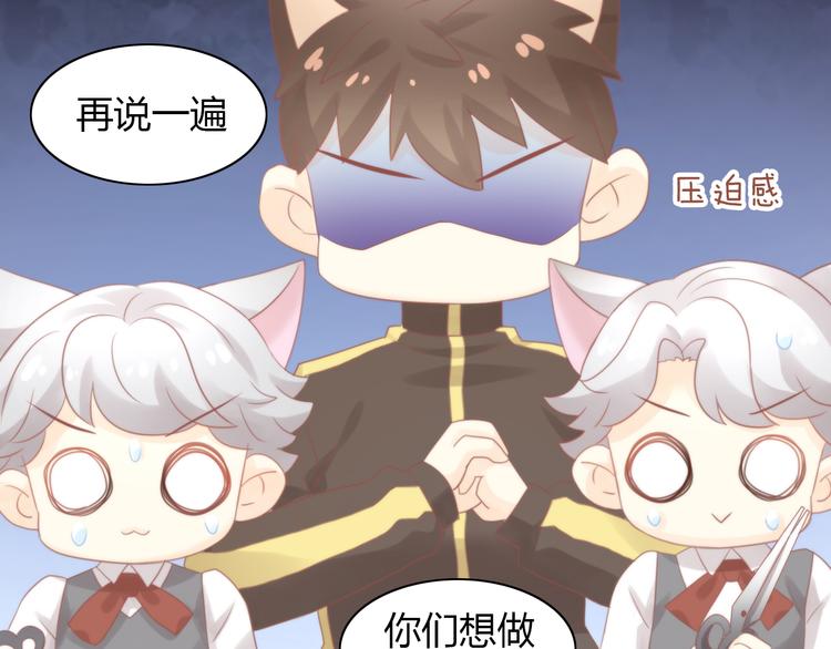 猫爪之下韩漫全集-第79话 一只猫的战争无删减无遮挡章节图片 