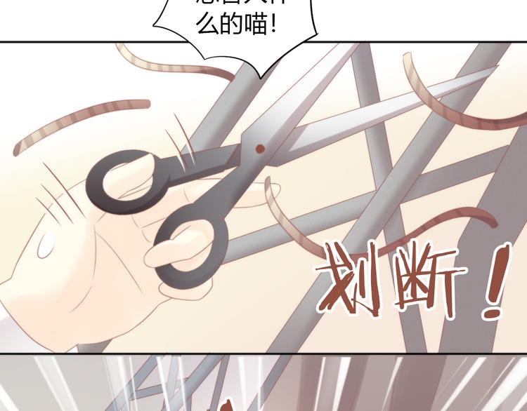 猫爪之下韩漫全集-第79话 一只猫的战争无删减无遮挡章节图片 