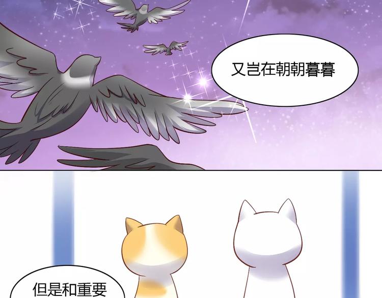 猫爪之下韩漫全集-第9话  七夕快乐无删减无遮挡章节图片 