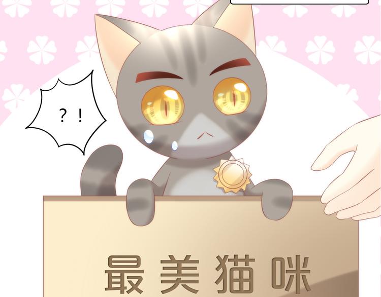猫爪之下韩漫全集-第80话 我要你...无删减无遮挡章节图片 