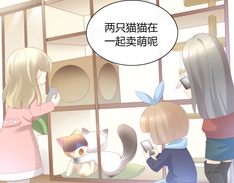 猫爪之下韩漫全集-第81话 喜新厌旧无删减无遮挡章节图片 