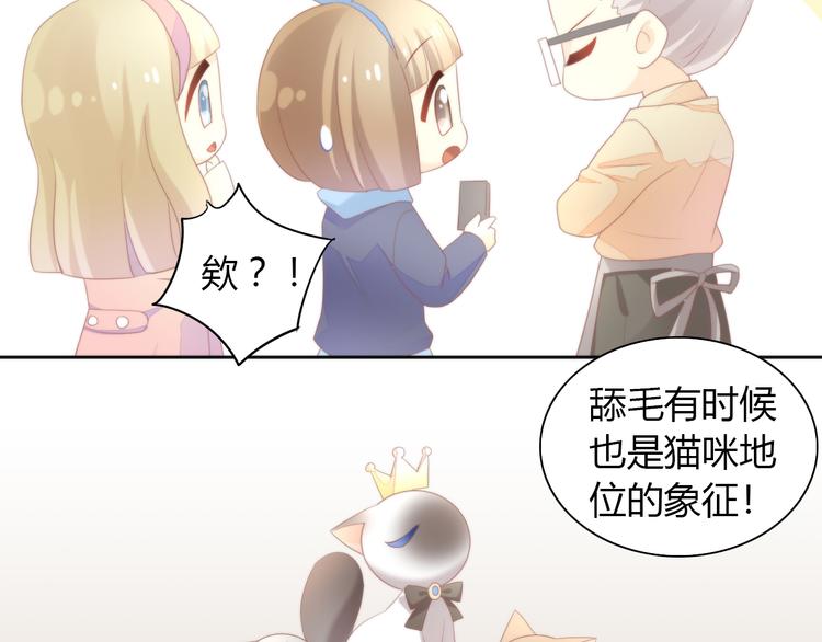 猫爪之下韩漫全集-第81话 喜新厌旧无删减无遮挡章节图片 