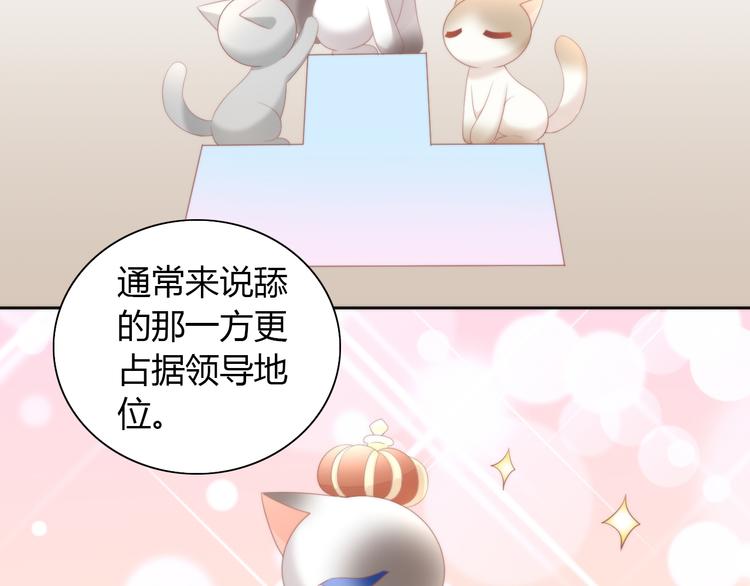 猫爪之下韩漫全集-第81话 喜新厌旧无删减无遮挡章节图片 