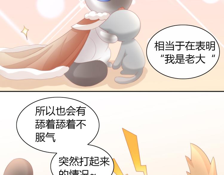猫爪之下韩漫全集-第81话 喜新厌旧无删减无遮挡章节图片 