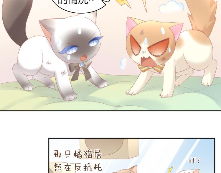 猫爪之下韩漫全集-第81话 喜新厌旧无删减无遮挡章节图片 