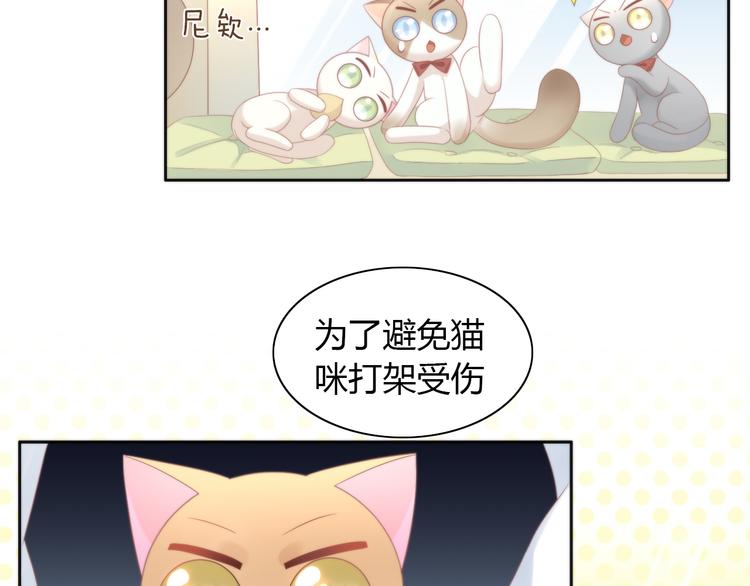 猫爪之下韩漫全集-第81话 喜新厌旧无删减无遮挡章节图片 