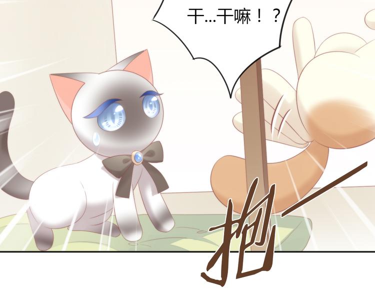 猫爪之下韩漫全集-第81话 喜新厌旧无删减无遮挡章节图片 