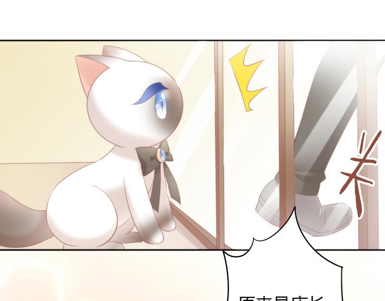 猫爪之下韩漫全集-第81话 喜新厌旧无删减无遮挡章节图片 