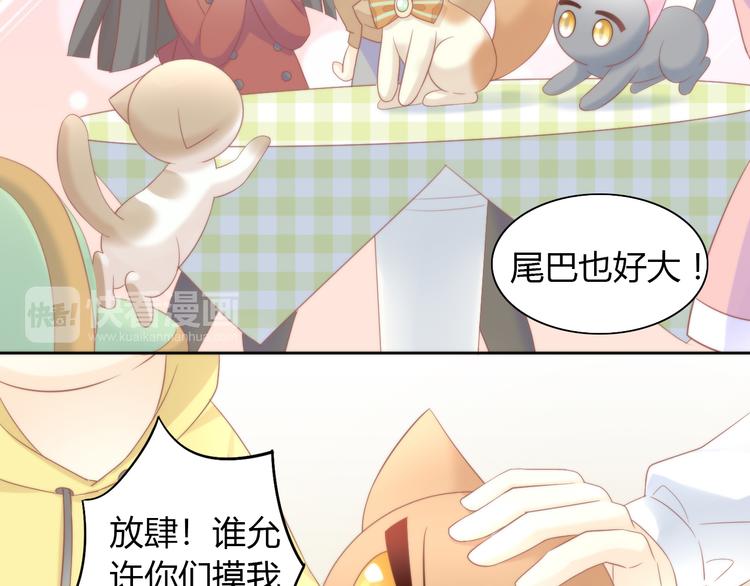 猫爪之下韩漫全集-第81话 喜新厌旧无删减无遮挡章节图片 