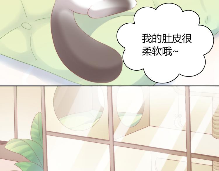 猫爪之下韩漫全集-第81话 喜新厌旧无删减无遮挡章节图片 