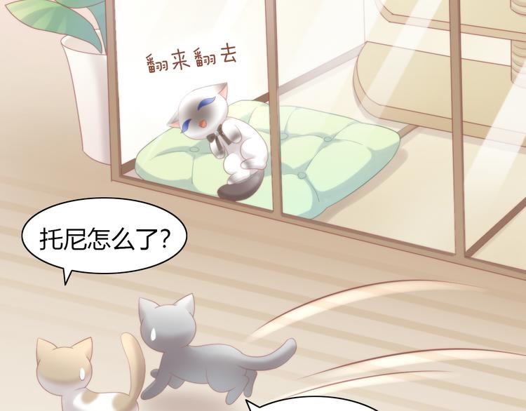 猫爪之下韩漫全集-第81话 喜新厌旧无删减无遮挡章节图片 