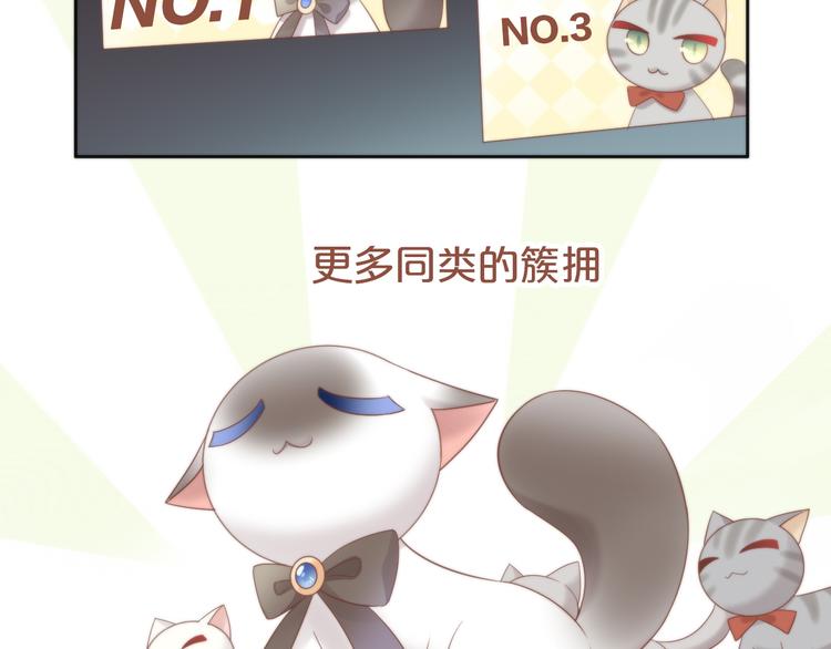 猫爪之下韩漫全集-第82话 我想被爱着无删减无遮挡章节图片 
