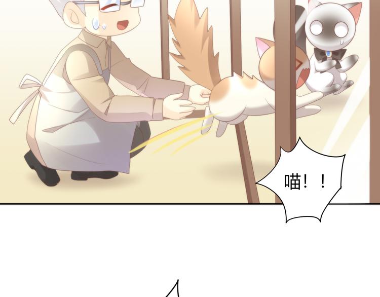 猫爪之下韩漫全集-第82话 我想被爱着无删减无遮挡章节图片 