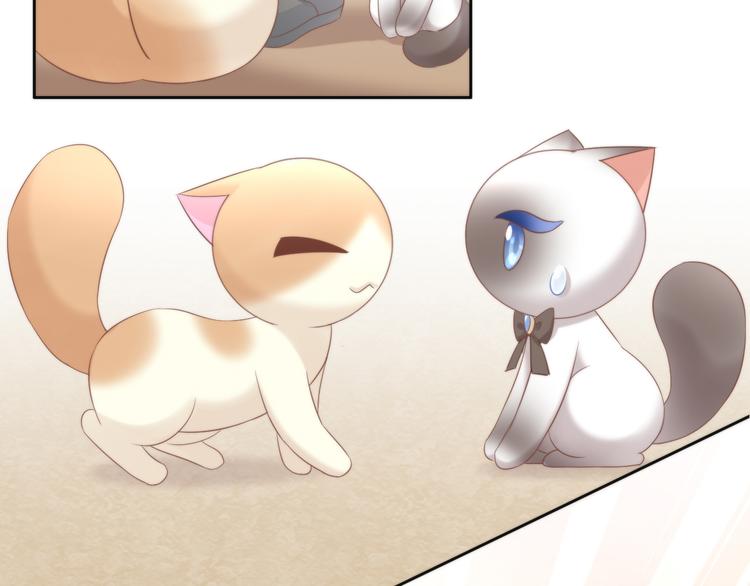 猫爪之下韩漫全集-第82话 我想被爱着无删减无遮挡章节图片 
