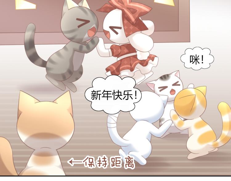 猫爪之下韩漫全集-第83话 岁岁年年有今朝无删减无遮挡章节图片 