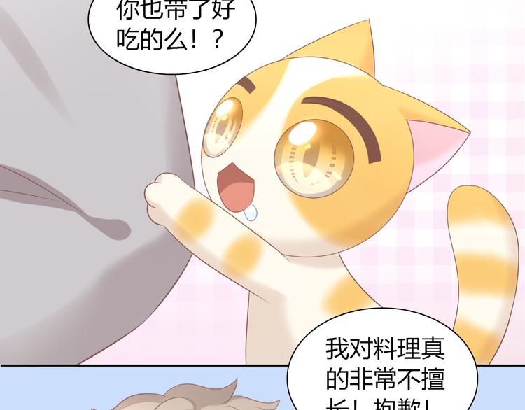 猫爪之下韩漫全集-第83话 岁岁年年有今朝无删减无遮挡章节图片 