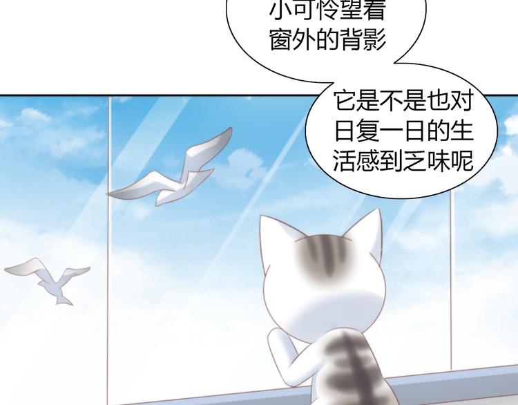 猫爪之下韩漫全集-第84话 亲爱的你无删减无遮挡章节图片 