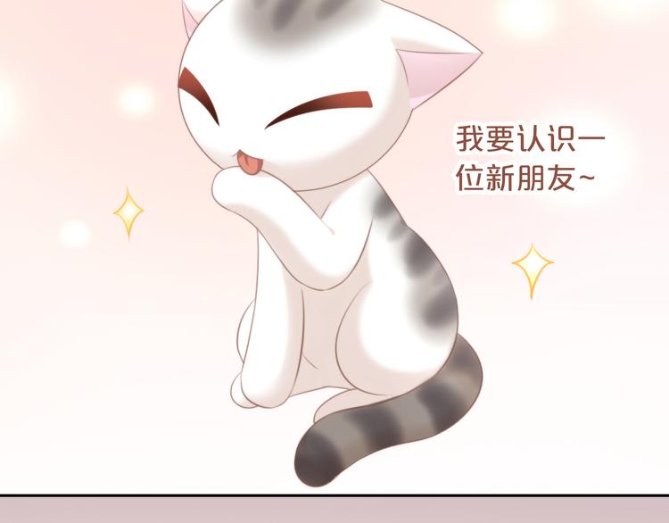猫爪之下韩漫全集-第85话 新伙伴？！无删减无遮挡章节图片 